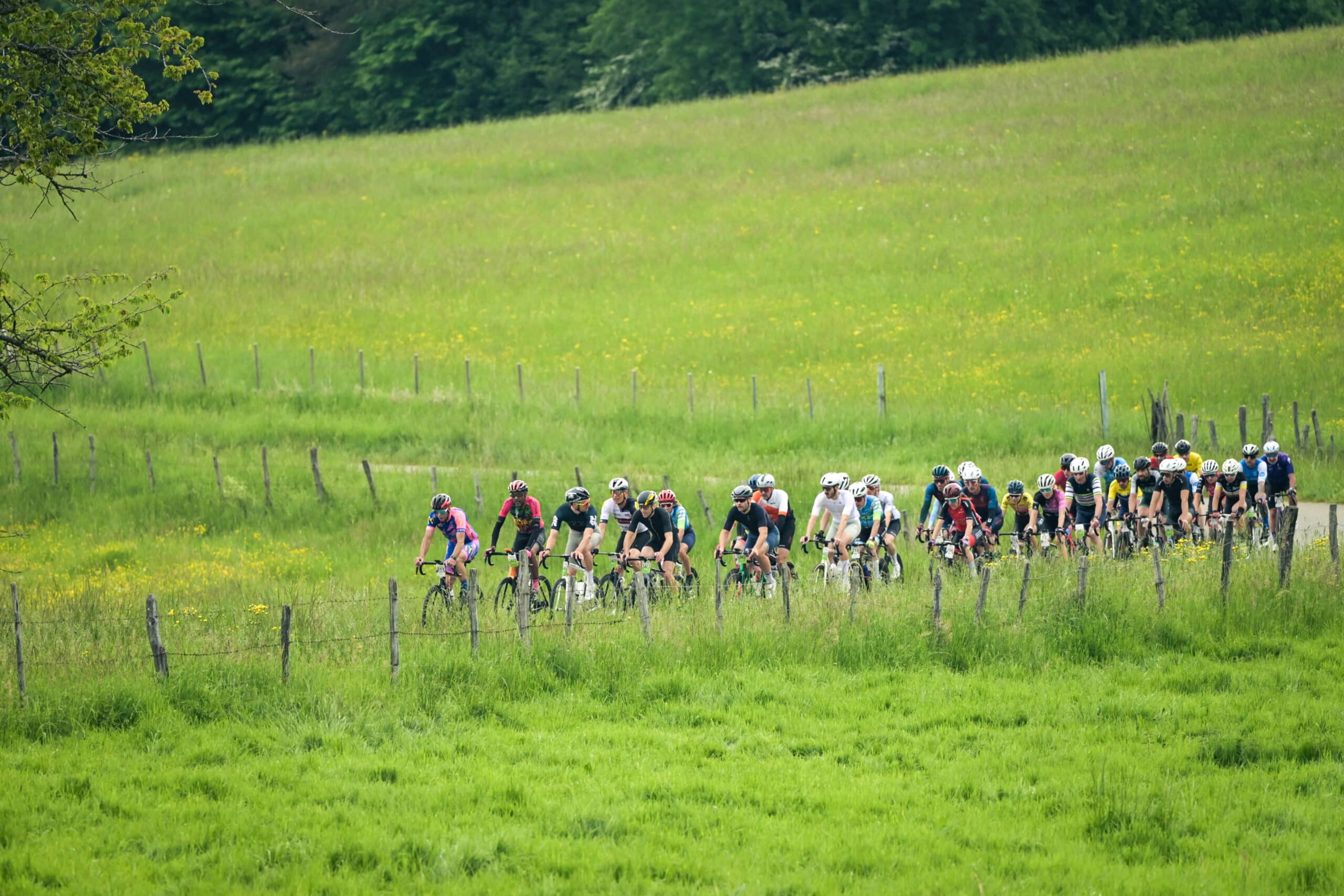 Photos La Sundgauvienne Start2Finish