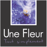 Une Fleur