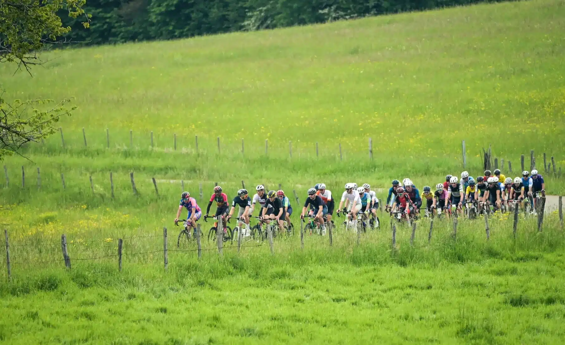 Un groupe de cyclistes traverse les paysages verdoyants du Sundgau