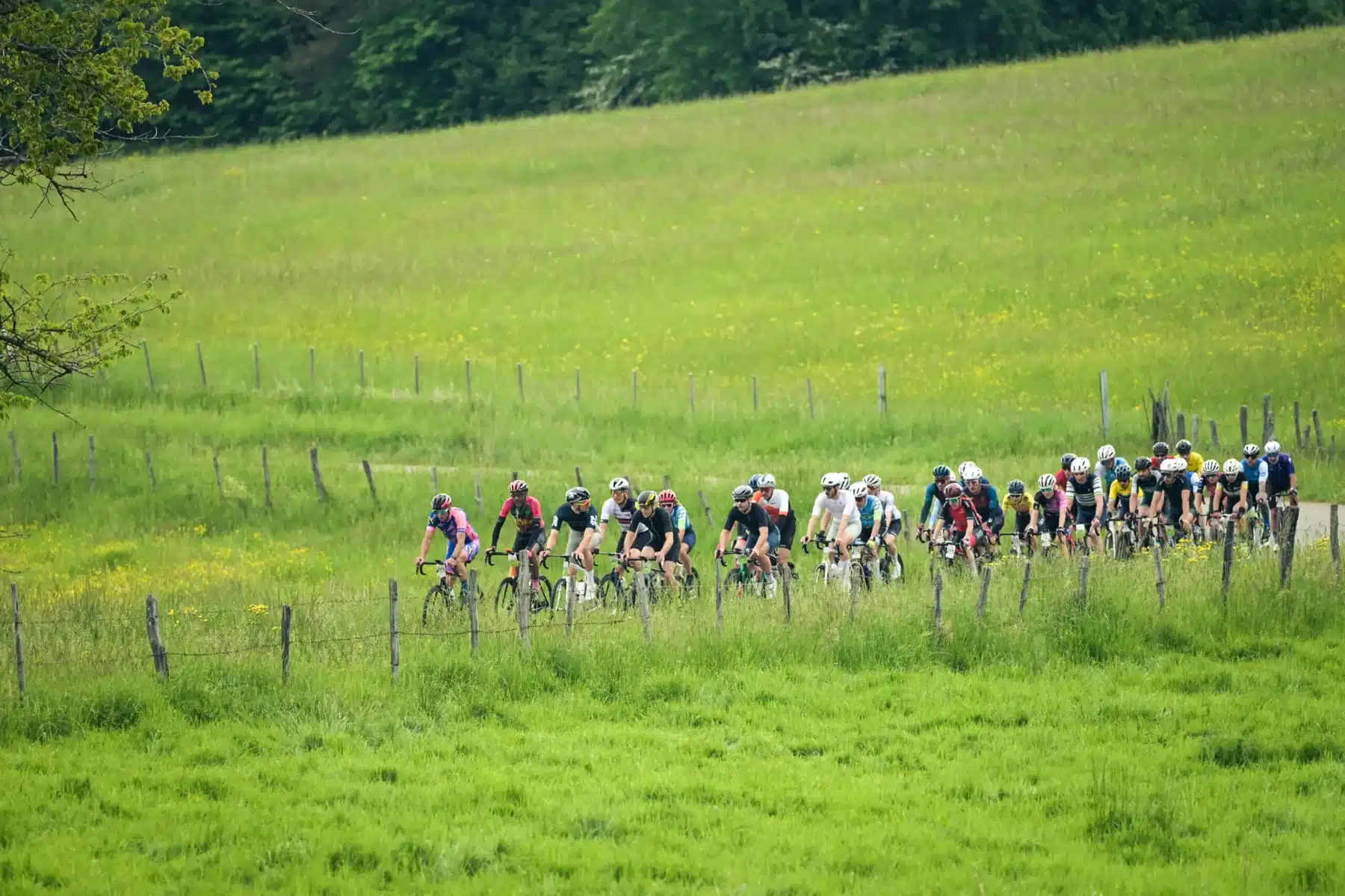 Un groupe de cyclistes traverse les paysages verdoyants du Sundgau